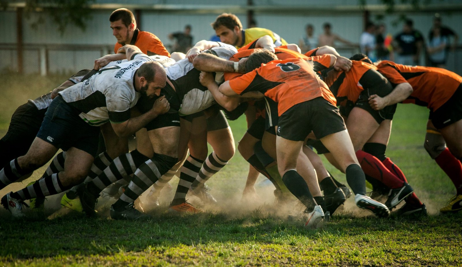 The Best Rugby Teams to Bet on in Australia